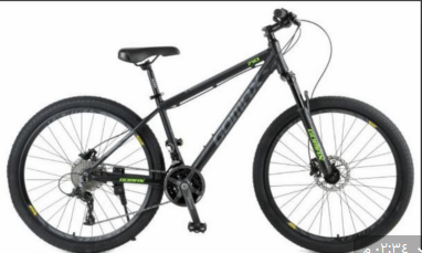 Gomax best sale fat bike