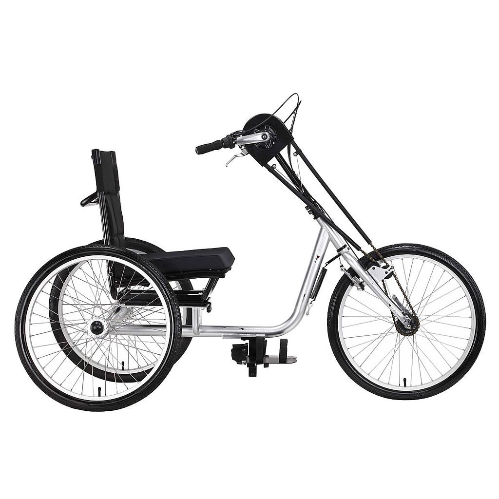 Sun store adult trike